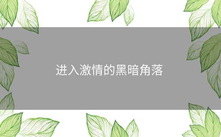 进入激情的黑暗角落 