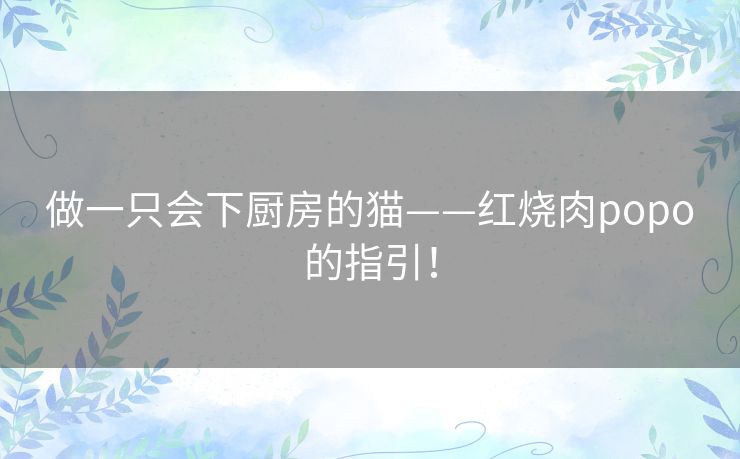 做一只会下厨房的猫——红烧肉popo的指引! 做一只会下厨房的猫——红烧肉popo的指引!