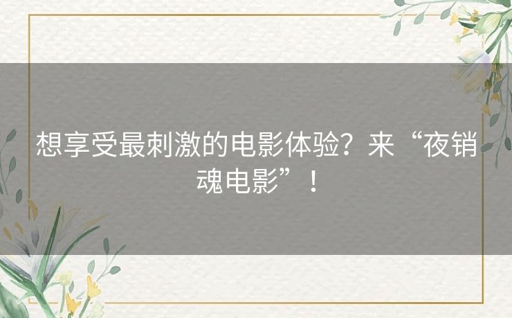 想享受最刺激的电影体验?来“夜销魂电影”! 想享受最刺激的电影体验?来“夜销魂电影”!