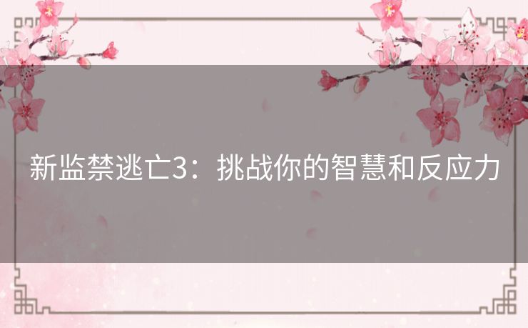 新监禁逃亡3：挑战你的智慧和反应力