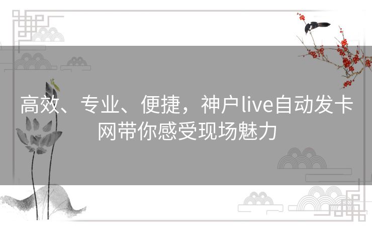 高效、专业、便捷，神户live自动发卡网带你感受现场魅力