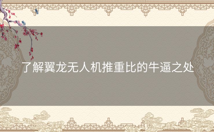 了解翼龙无人机推重比的牛逼之处 了解翼龙无人机推重比的牛逼之处