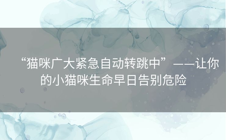 “猫咪广大紧急自动转跳中”——让你的小猫咪生命早日告别危险