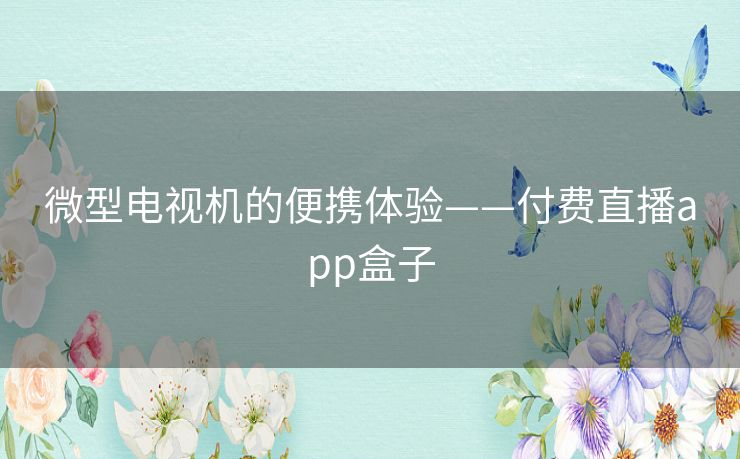 微型电视机的便携体验——付费直播app盒子