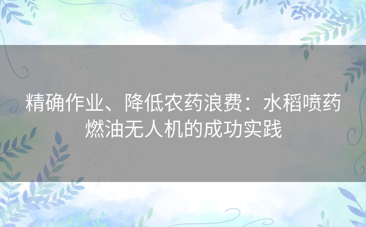 精确作业、降低农药浪费：水稻喷药燃油无人机的成功实践