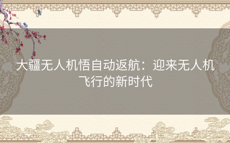 大疆无人机悟自动返航:迎来无人机飞行的新时代 大疆无人机悟自动返航:迎来无人机飞行的新时代