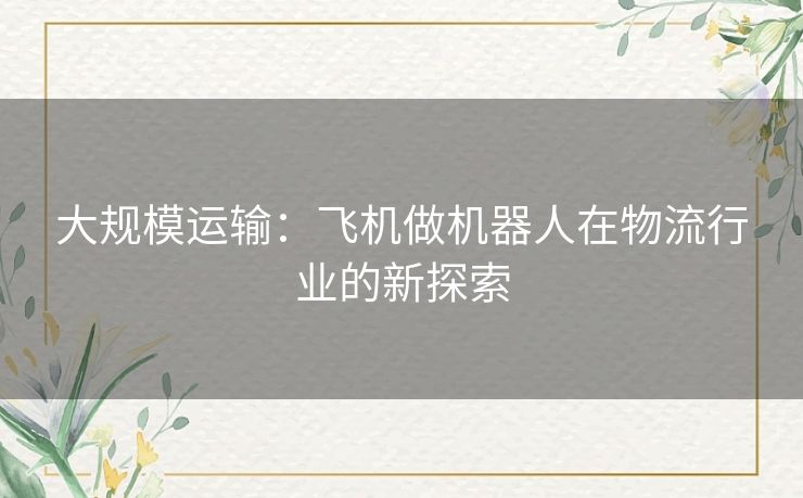 大规模运输:飞机做机器人在物流行业的新探索 大规模运输:飞机做机器人在物流行业的新探索