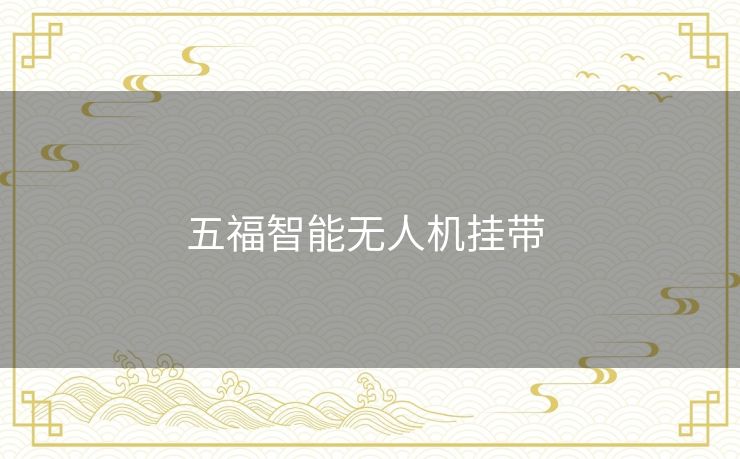 五福智能无人机挂带 五福智能无人机挂带
