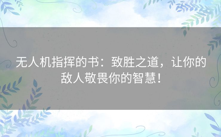 无人机指挥的书：致胜之道，让你的敌人敬畏你的智慧！