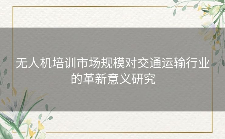 无人机培训市场规模对交通运输行业的革新意义研究 无人机培训市场规模对交通运输行业的革新意义研究