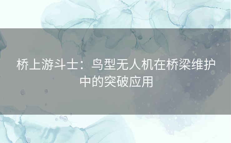 桥上游斗士:鸟型无人机在桥梁维护中的突破应用 桥上游斗士:鸟型无人机在桥梁维护中的突破应用