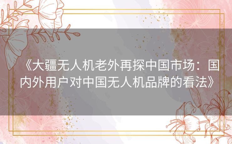 《大疆无人机老外再探中国市场:国内外用户对中国无人机品牌的看法》 《大疆无人机老外再探中国市场:国内外用户对中国无人机品牌的看法》