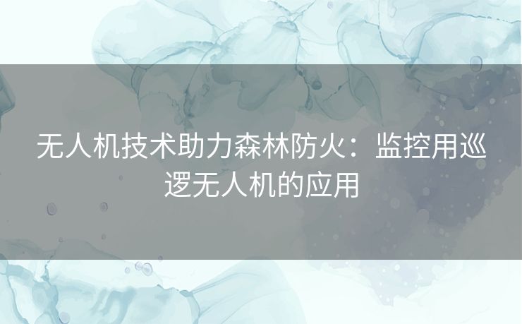 无人机技术助力森林防火：监控用巡逻无人机的应用