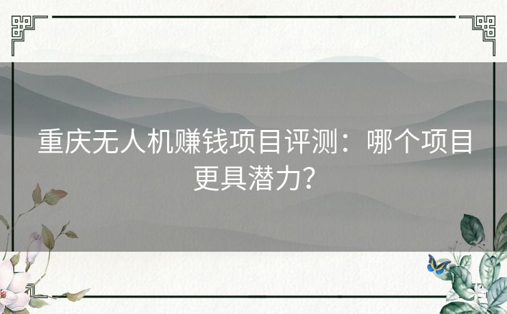 重庆无人机赚钱项目评测：哪个项目更具潜力？