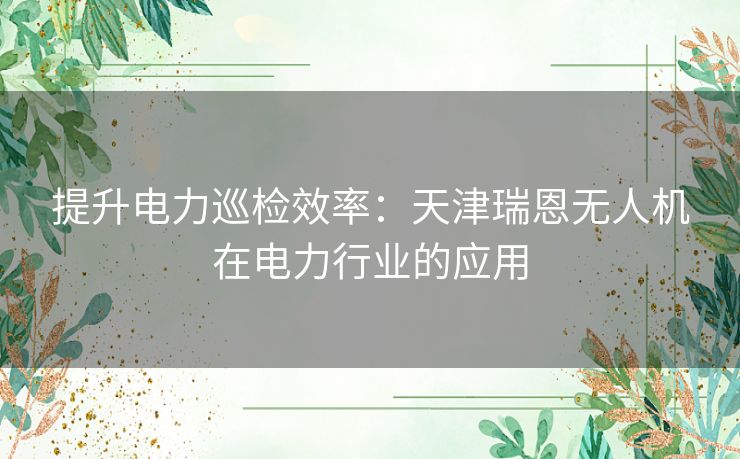 提升电力巡检效率:天津瑞恩无人机在电力行业的应用 提升电力巡检效率:天津瑞恩无人机在电力行业的应用