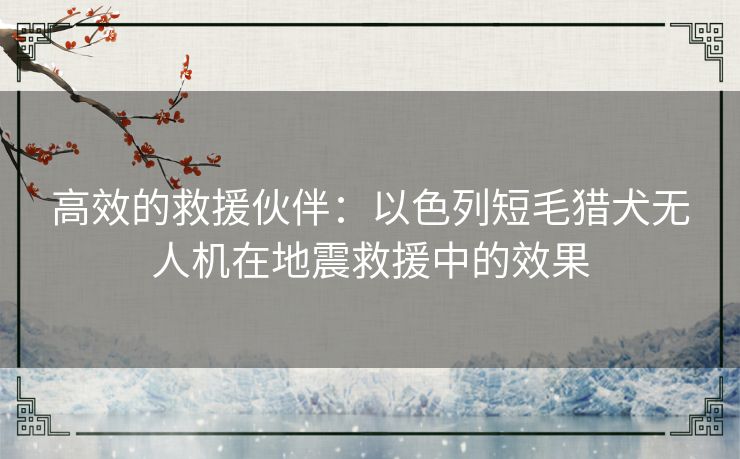 高效的救援伙伴：以色列短毛猎犬无人机在地震救援中的效果