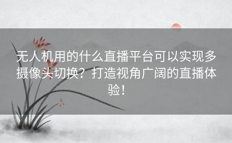 无人机用的什么直播平台可以实现多摄像头切换?打造视角广阔的直播体验! 无人机用的什么直播平台可以实现多摄像头切换?打造视角广阔的直播体验!