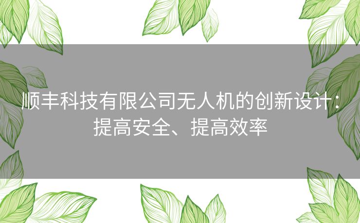 顺丰科技有限公司无人机的创新设计:提高安全、提高效率 顺丰科技有限公司无人机的创新设计:提高安全、提高效率