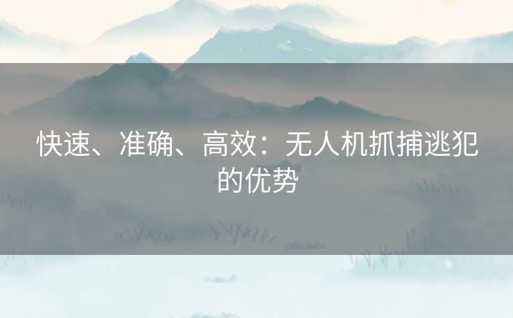 快速、准确、高效:无人机抓捕逃犯的优势 快速、准确、高效:无人机抓捕逃犯的优势