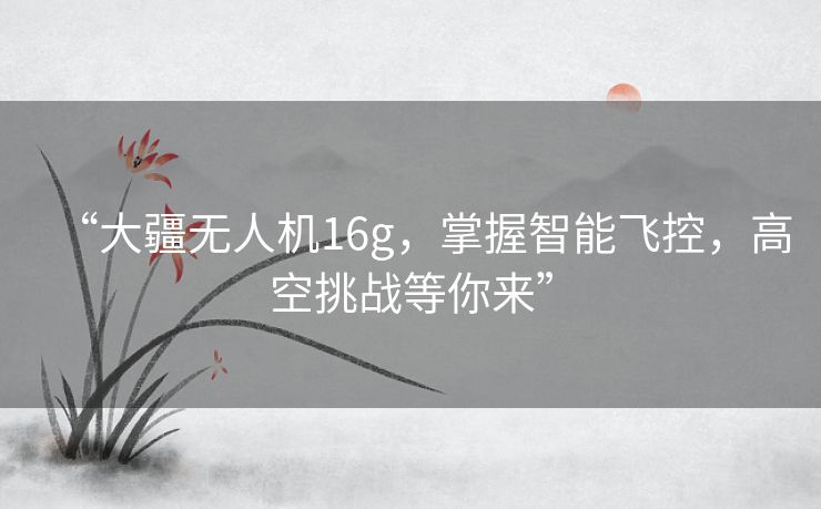 “大疆无人机16g,掌握智能飞控,高空挑战等你来” “大疆无人机16g,掌握智能飞控,高空挑战等你来”