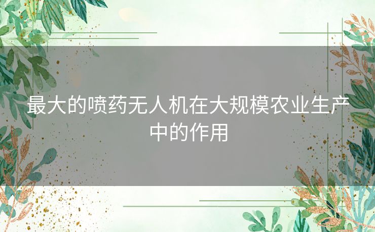 最大的喷药无人机在大规模农业生产中的作用