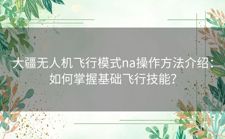 大疆无人机飞行模式na操作方法介绍:如何掌握基础飞行技能? 大疆无人机飞行模式na操作方法介绍:如何掌握基础飞行技能?