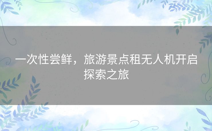 一次性尝鲜,旅游景点租无人机开启探索之旅 一次性尝鲜,旅游景点租无人机开启探索之旅