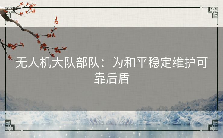 无人机大队部队：为和平稳定维护可靠后盾