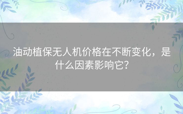 油动植保无人机价格在不断变化,是什么因素影响它? 油动植保无人机价格在不断变化,是什么因素影响它?