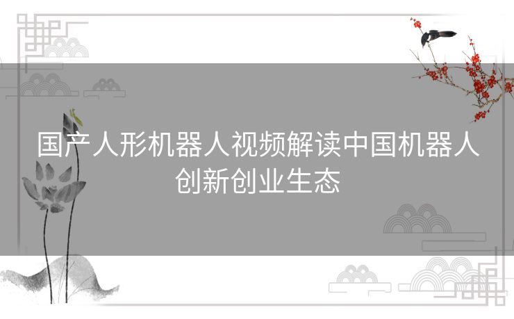 国产人形机器人视频解读中国机器人创新创业生态 国产人形机器人视频解读中国机器人创新创业生态