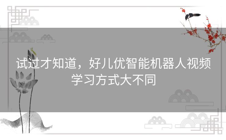 试过才知道，好儿优智能机器人视频学习方式大不同