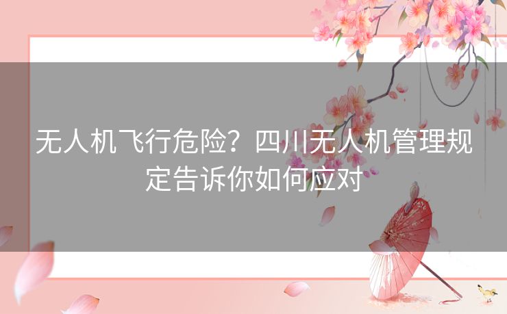 无人机飞行危险?四川无人机管理规定告诉你如何应对 无人机飞行危险?四川无人机管理规定告诉你如何应对