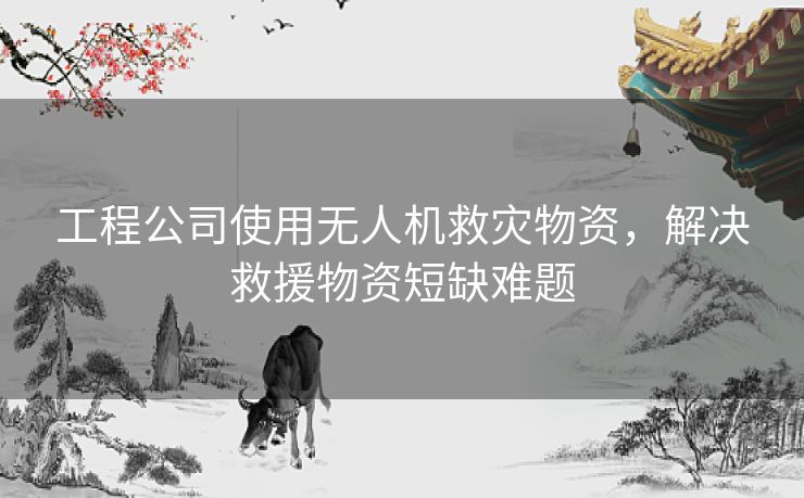 工程公司使用无人机救灾物资,解决救援物资短缺难题 工程公司使用无人机救灾物资,解决救援物资短缺难题