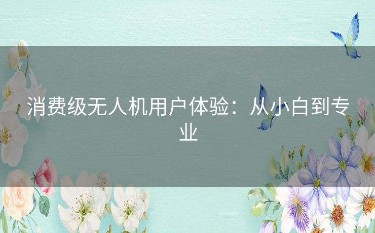 消费级无人机用户体验：从小白到专业