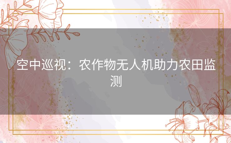 空中巡视：农作物无人机助力农田监测