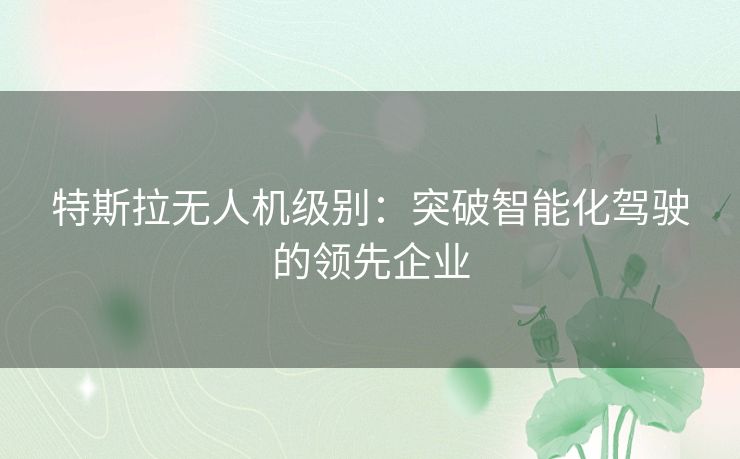 特斯拉无人机级别：突破智能化驾驶的领先企业