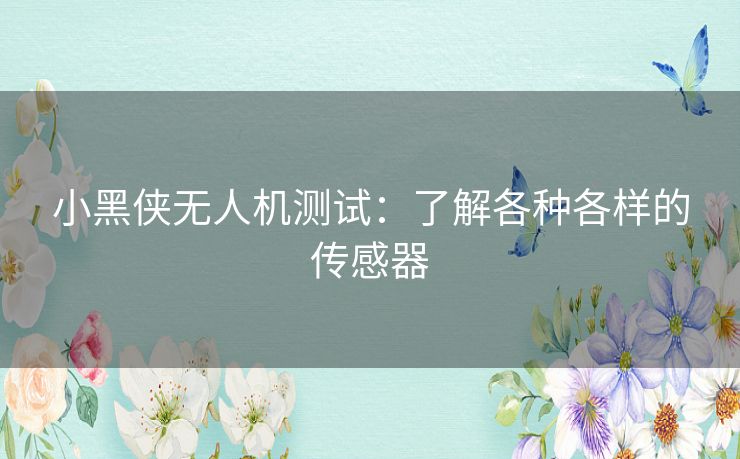 小黑侠无人机测试:了解各种各样的传感器 小黑侠无人机测试:了解各种各样的传感器