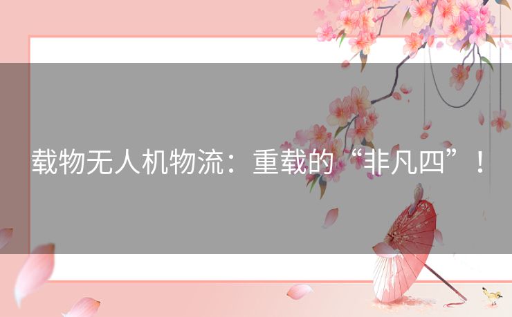 载物无人机物流:重载的“非凡四”! 载物无人机物流:重载的“非凡四”!