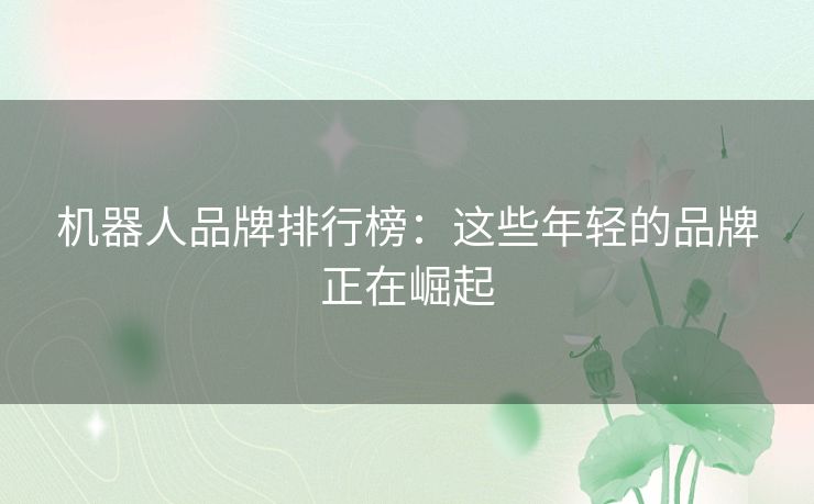 机器人品牌排行榜：这些年轻的品牌正在崛起