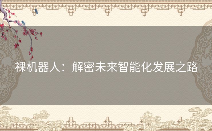 裸机器人:解密未来智能化发展之路 裸机器人:解密未来智能化发展之路