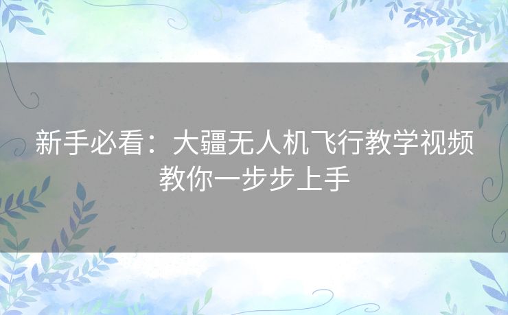 新手必看:大疆无人机飞行教学视频教你一步步上手 新手必看:大疆无人机飞行教学视频教你一步步上手