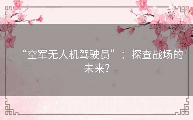 “空军无人机驾驶员”:探查战场的未来? “空军无人机驾驶员”:探查战场的未来?