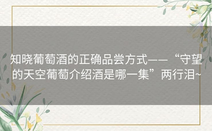 知晓葡萄酒的正确品尝方式——“守望的天空葡萄介绍酒是哪一集”两行泪~ 知晓葡萄酒的正确品尝方式——“守望的天空葡萄介绍酒是哪一集”两行泪~