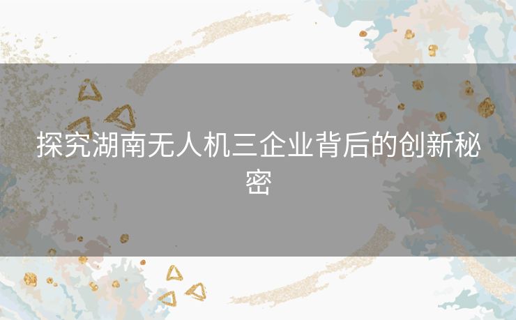 探究湖南无人机三企业背后的创新秘密 探究湖南无人机三企业背后的创新秘密
