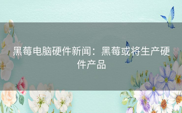 黑莓电脑硬件新闻:黑莓或将生产硬件产品 黑莓电脑硬件新闻:黑莓或将生产硬件产品