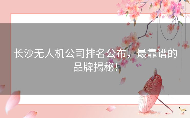 长沙无人机公司排名公布,最靠谱的品牌揭秘! 长沙无人机公司排名公布,最靠谱的品牌揭秘!