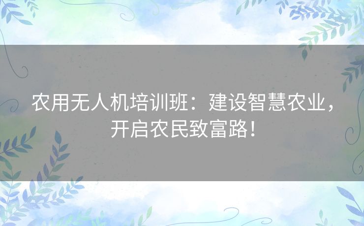 农用无人机培训班:建设智慧农业,开启农民致富路! 农用无人机培训班:建设智慧农业,开启农民致富路!