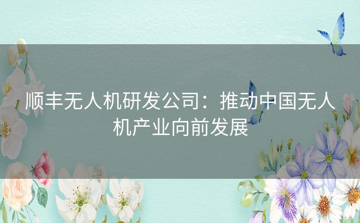顺丰无人机研发公司:推动中国无人机产业向前发展 顺丰无人机研发公司:推动中国无人机产业向前发展