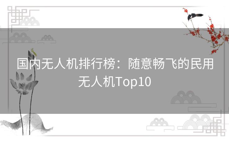 国内无人机排行榜:随意畅飞的民用无人机Top10 国内无人机排行榜:随意畅飞的民用无人机Top10