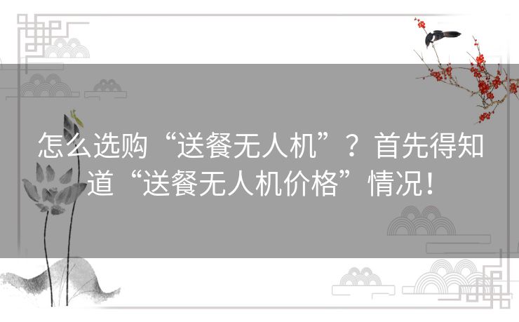 怎么选购“送餐无人机”？首先得知道“送餐无人机价格”情况！